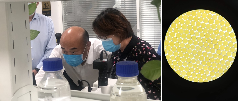 ����ʡʡ�������С��������г�����Զһ�е��и�������ʱ���������ǲ�����z6mg��ҵ԰