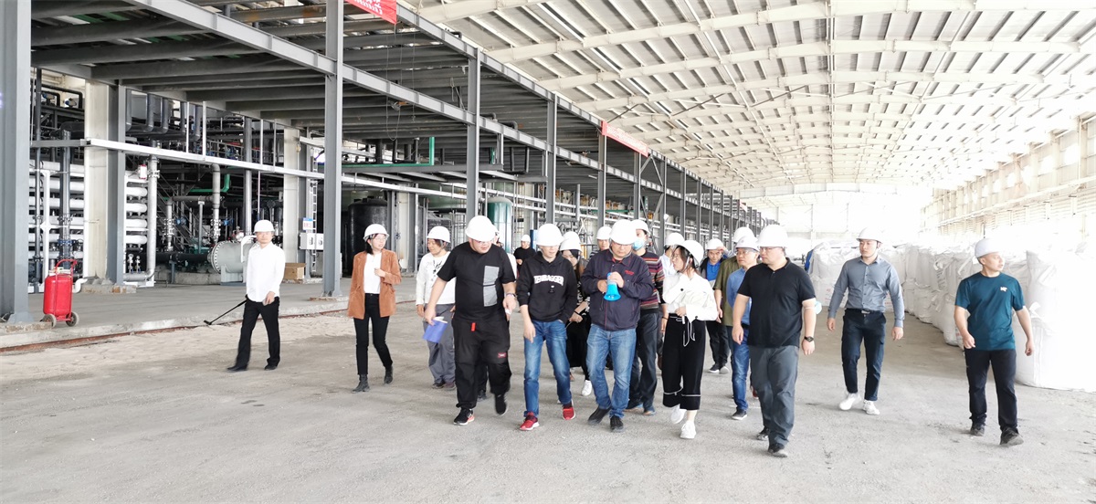 ������ʱ���������ǲ�����z6mg�Ƽ��κ�������ա����߽���̩��Ŀ��Բ������