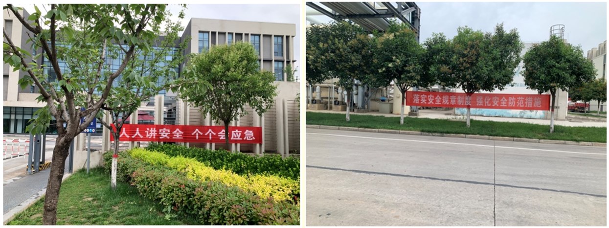 ��ʵ��չ���徲�����¡��˶�����ʵ�ƶ�����ʱ���������ǲ�����z6mg�Ƽ�����������